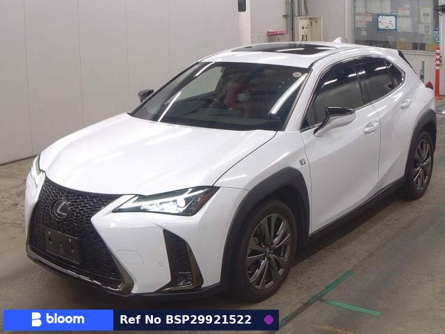 2019 Lexus UX