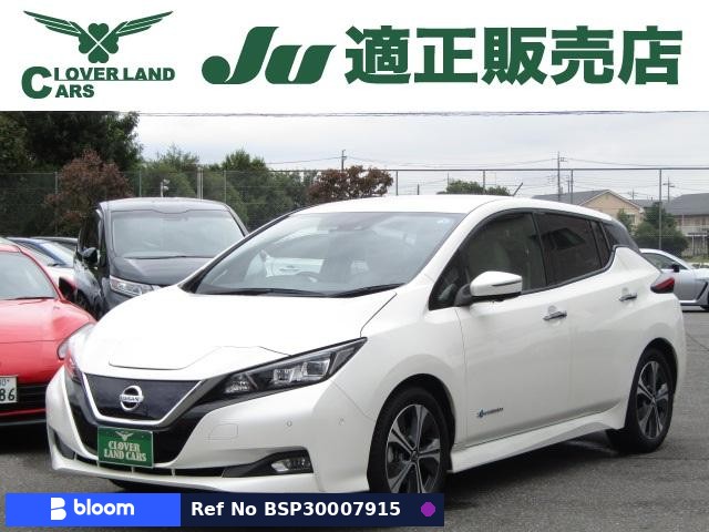 2019 Nissan Leaf