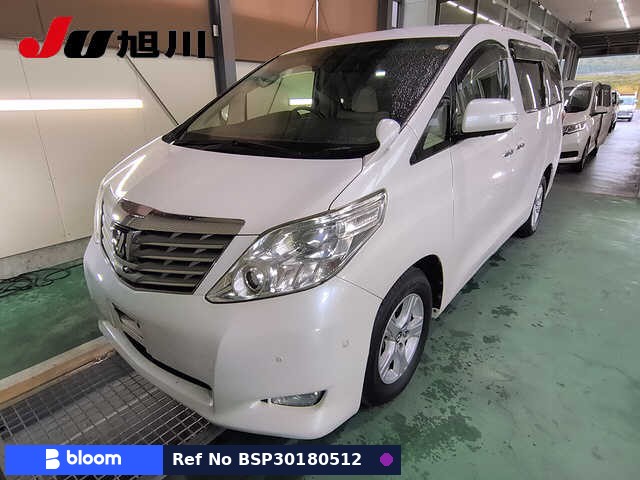 2010 Toyota Alphard