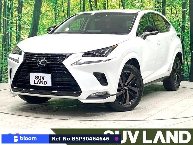 2019 Lexus NX