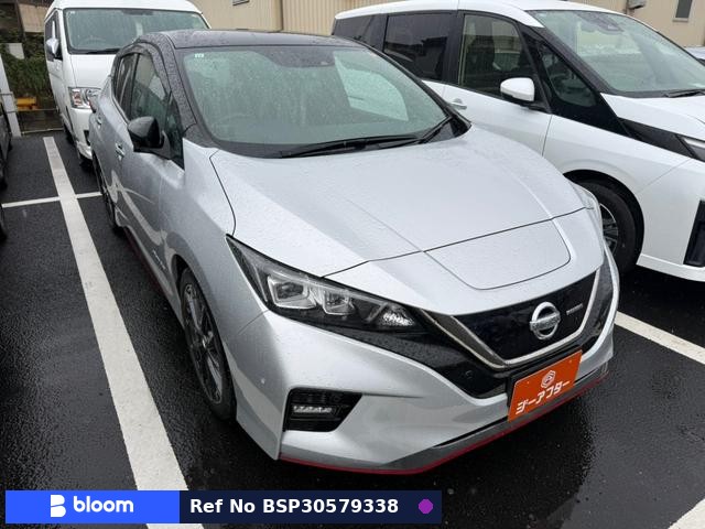 2019 Nissan Leaf