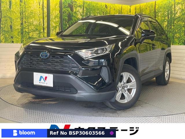 2020 Toyota RAV4