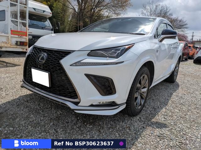 2019 Lexus NX