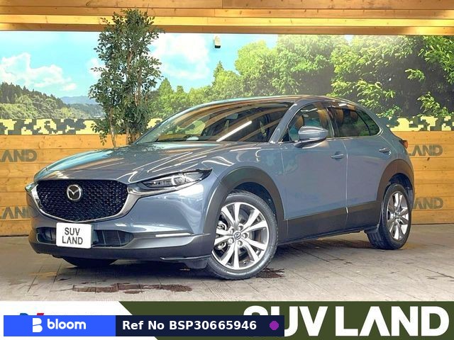 2019 Mazda CX-30