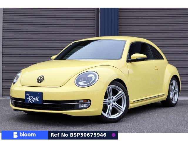 2013 Volkswagen THE Beetle