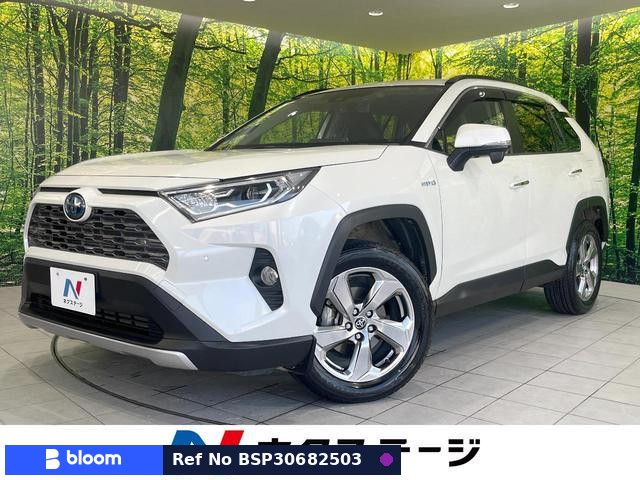2019 Toyota RAV4