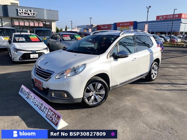 2014 Peugeot 2008