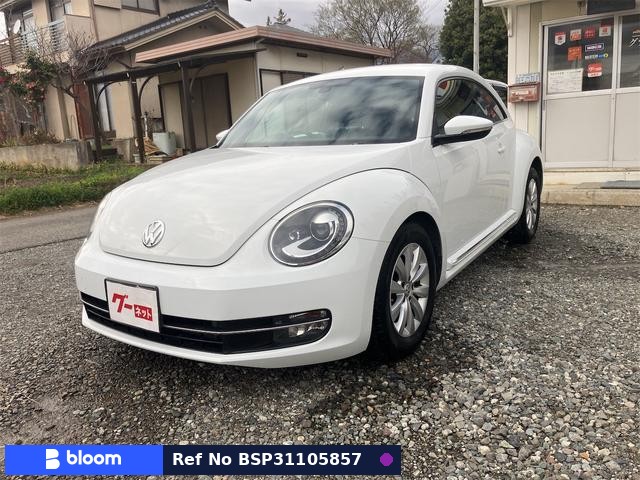 2015 Volkswagen THE Beetle