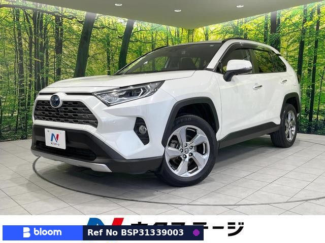 2021 Toyota RAV4
