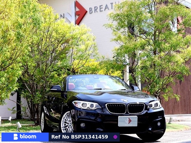 2017 BMW 2 Series