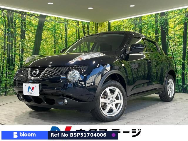 2013 Nissan Juke