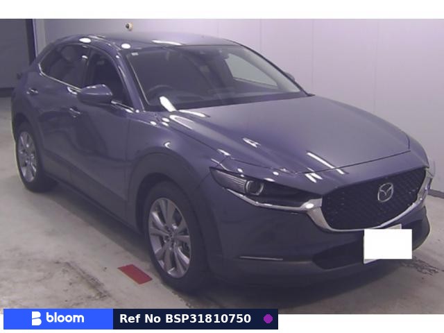 2019 Mazda CX-30