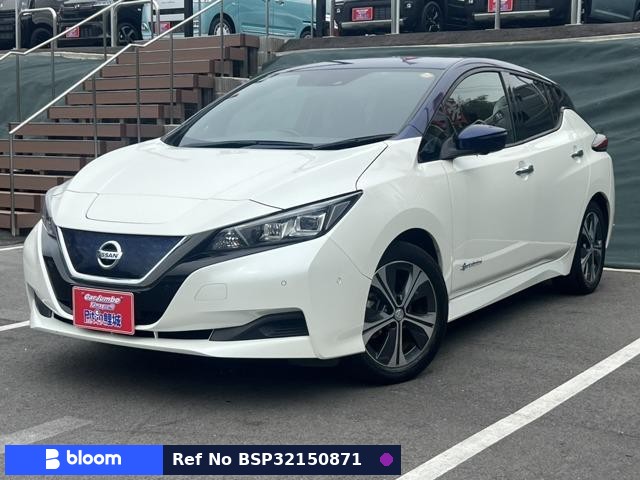 2017 Nissan Leaf