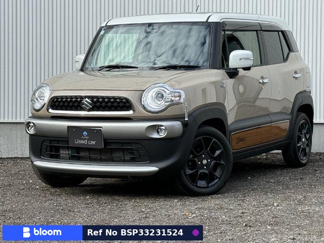 2018 Suzuki X BEE