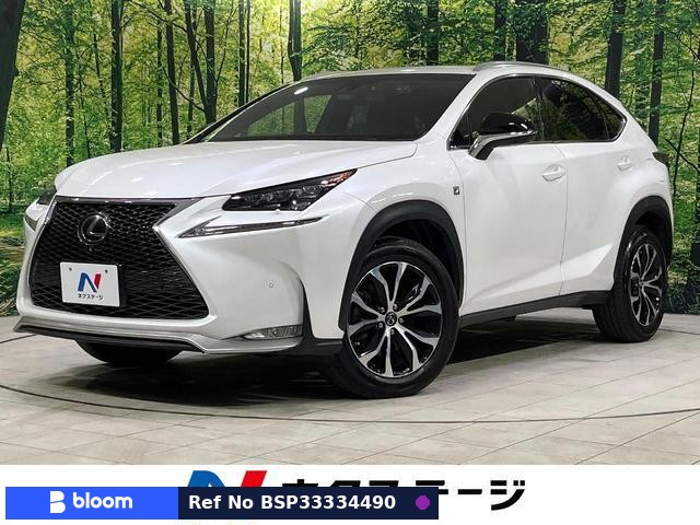 2014 Lexus NX