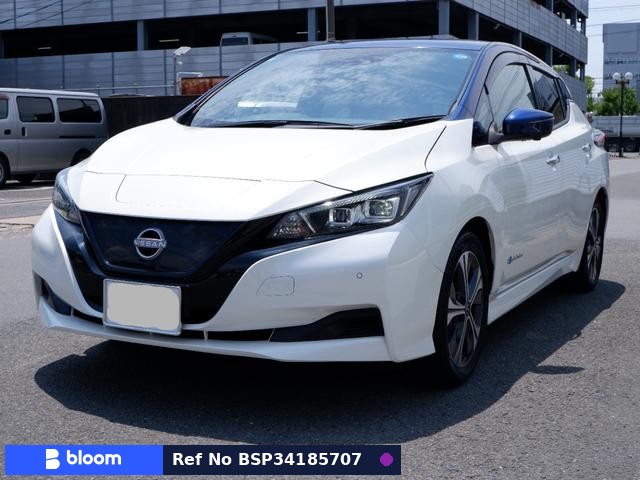 2022 Nissan Leaf