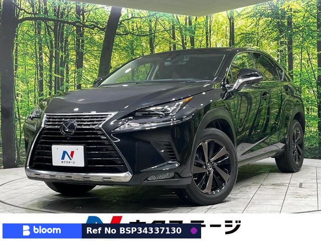 2019 Lexus NX
