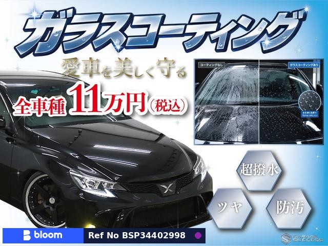 2011 Toyota Mark X