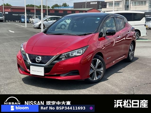 2020 Nissan Leaf
