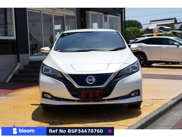 2019 Nissan Leaf