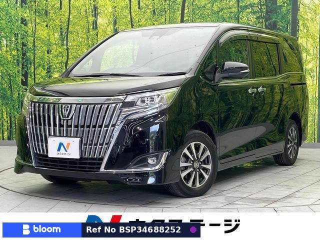 2019 Toyota Esquire