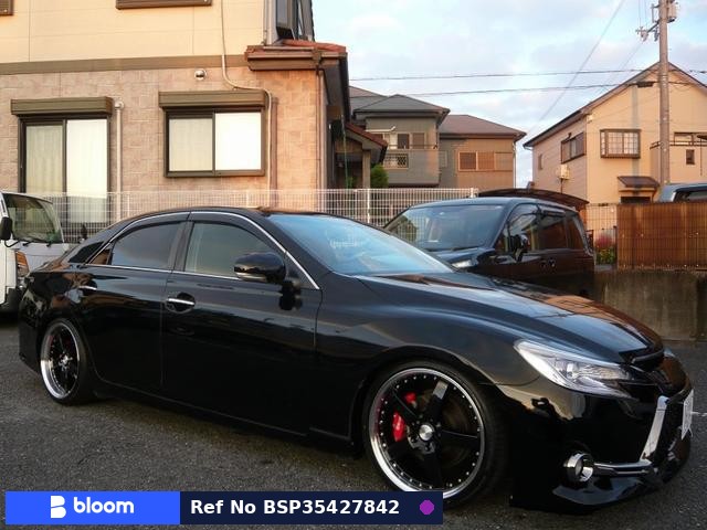 2010 Toyota Mark X