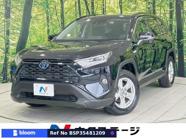 2019 Toyota RAV4