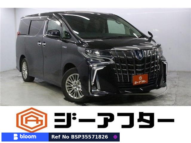 2019 Toyota Alphard Hybrid