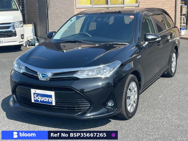 2018 Toyota Corolla Fielder