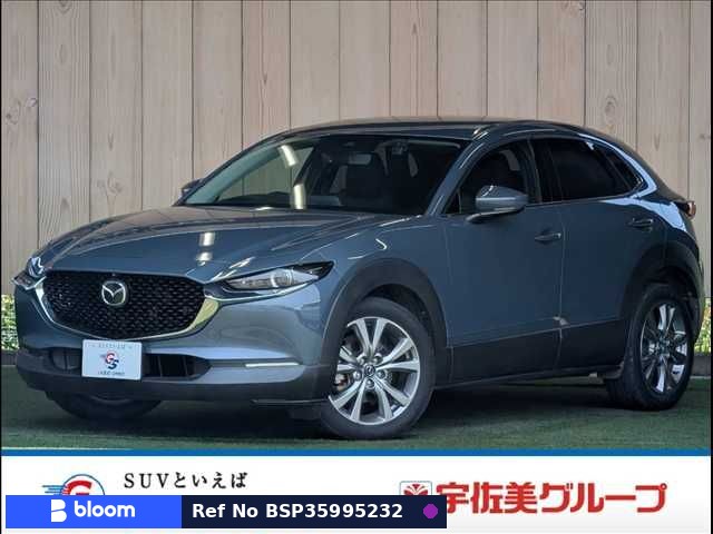 2019 Mazda CX-30