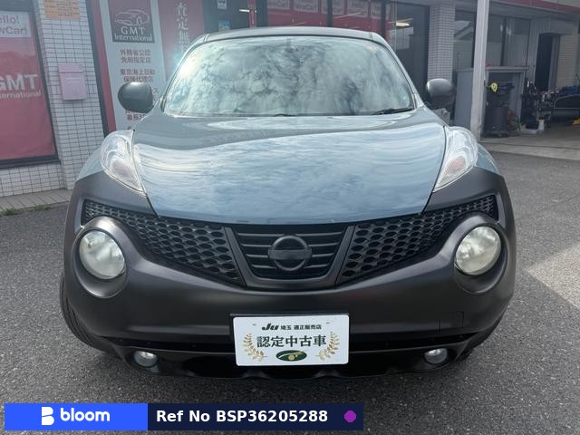 2011 Nissan Juke