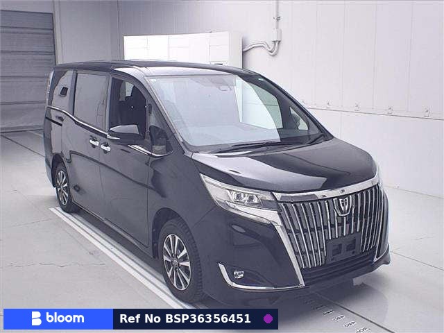 2019 Toyota Esquire