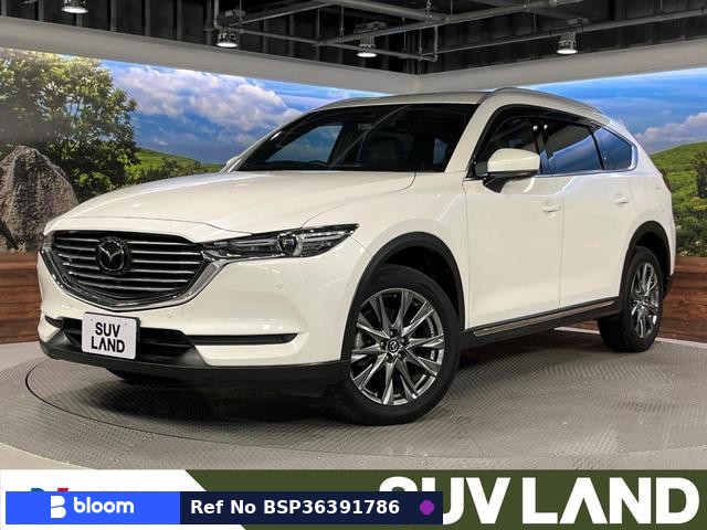 2019 Mazda CX-8