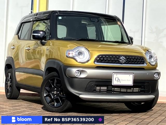 2017 Suzuki X BEE