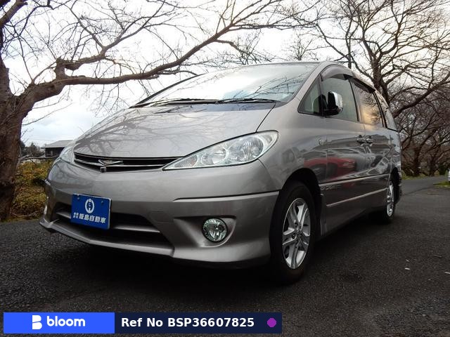 2004 Toyota Estima