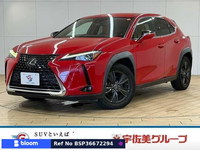 2019 Lexus UX