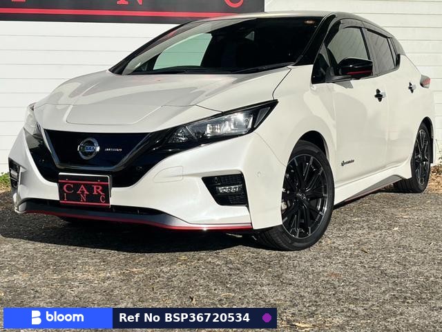 2019 Nissan Leaf
