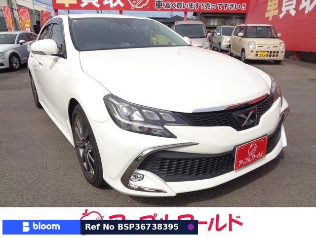 2019 Toyota Mark X