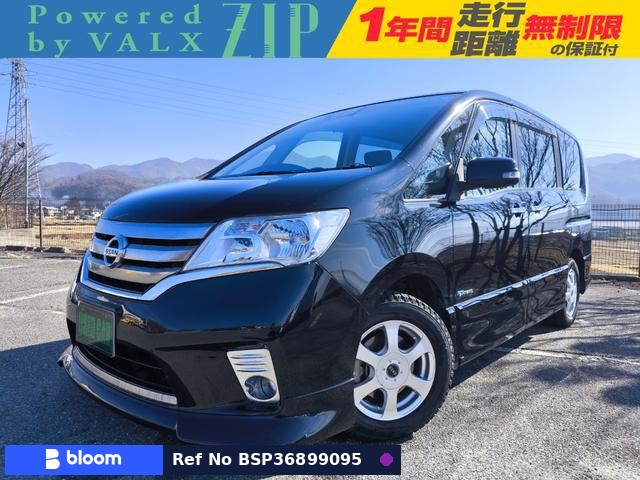 2013 Nissan Serena