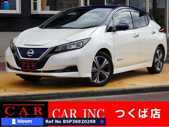 2019 Nissan Leaf