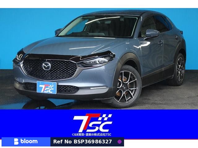 2019 Mazda CX-30