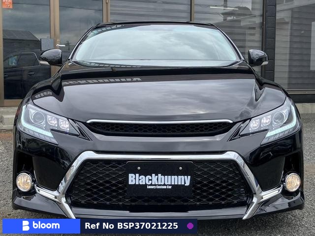 2009 Toyota Mark X