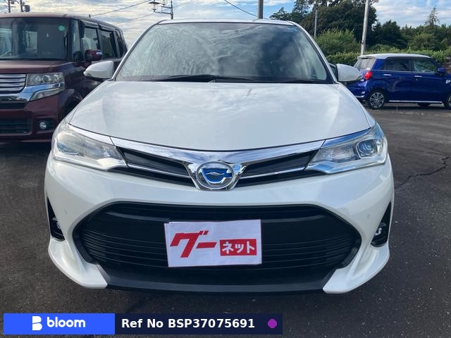 2018 Toyota Corolla Fielder