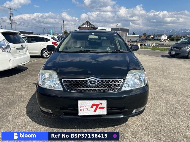 2002 Toyota Corolla Fielder
