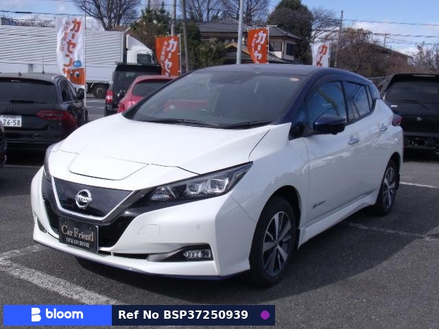 2019 Nissan Leaf