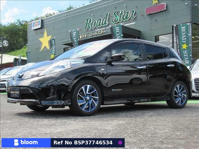 2015 Nissan Leaf
