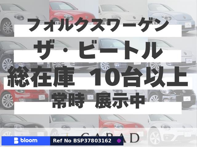 2013 Volkswagen THE Beetle