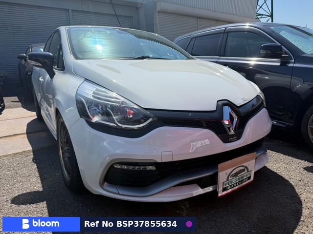 2013 Renault Lutecia