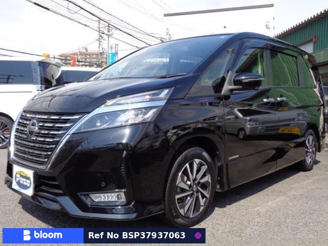2019 Nissan Serena