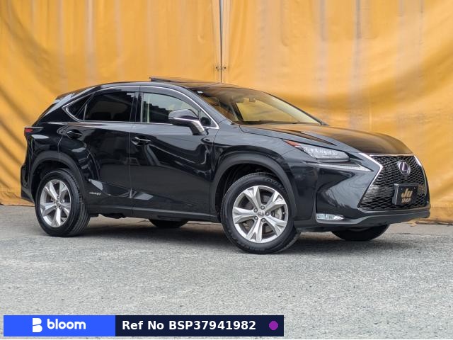2015 Lexus NX
